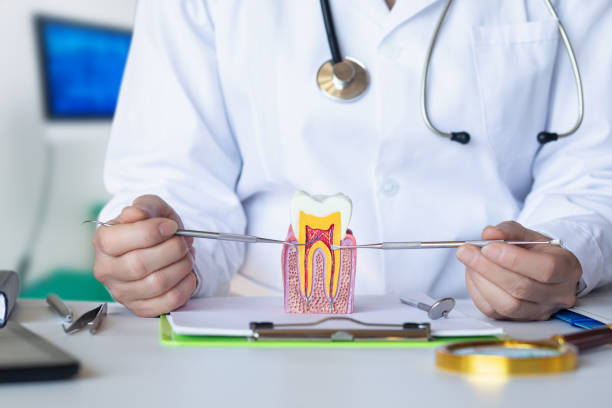 Best Emergency Treatment for Jaw Pain or Injury in Rion Center, MA
